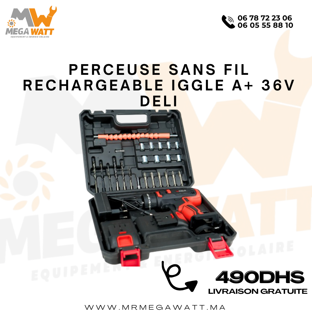 PERCEUSE SANS FIL RECHARGEABLE IGGLE A+ 36V DELI