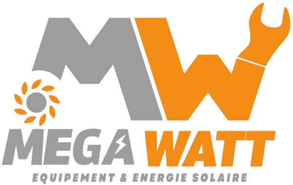 Mr Mega Watt